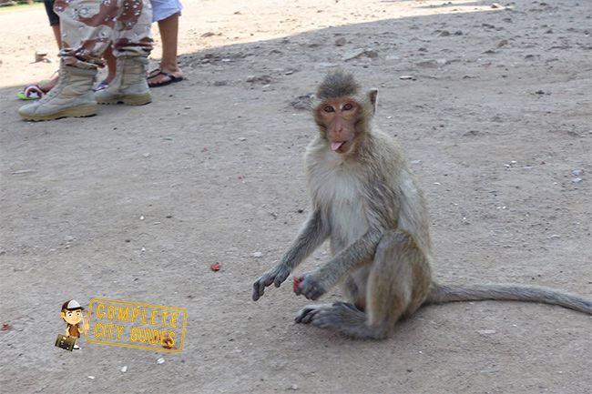Lopburi
