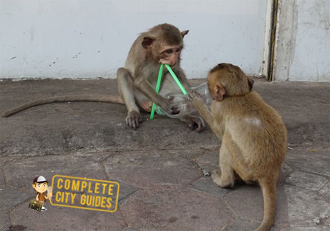 Lopburi
