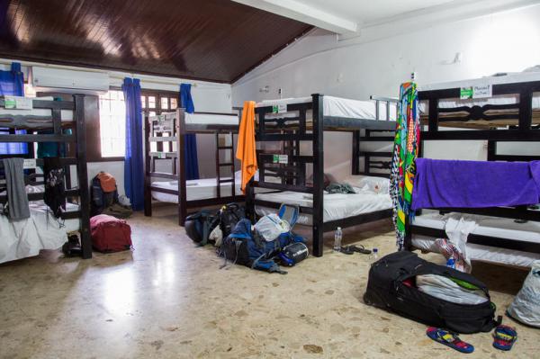 Drop Bear Hostel 